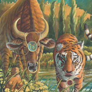 Tiger-Taurus Fine Art Print
