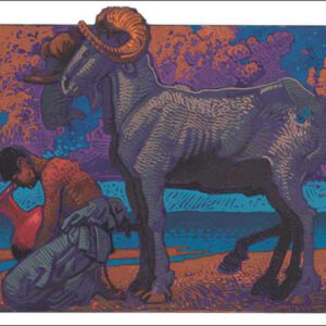Ram-Aquarius Fine Art Print