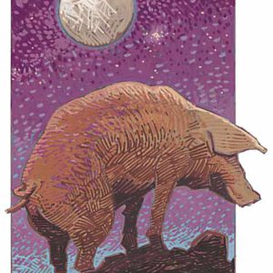 PIG Fine Art Print
