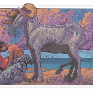 Ram-Aquarius CARD
